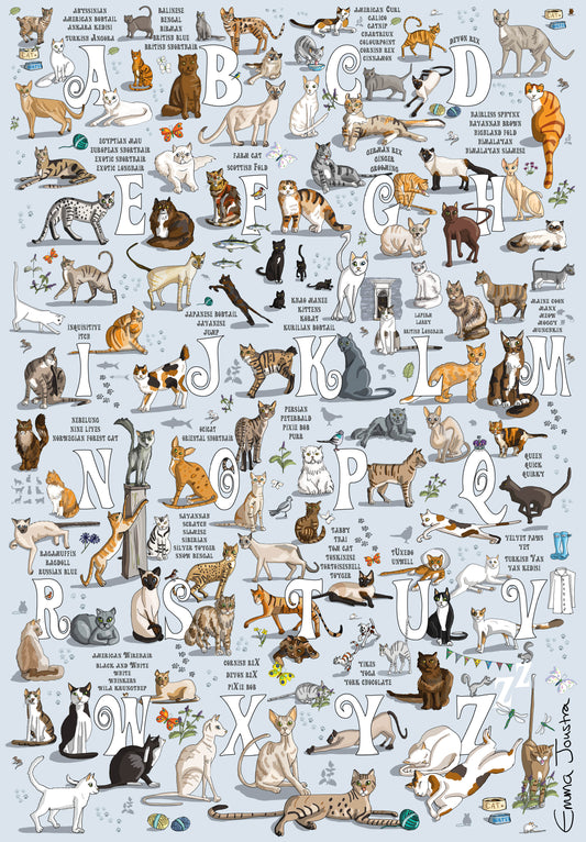 Cats A to Z 1000 Piece Jigsaw Puzzle
